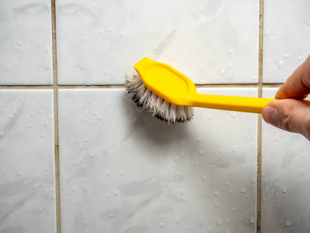 Best Local Mold Removal Service  in Rangely, CO